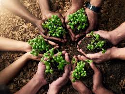 All about NITI Aayog's proposal to revise National Food Security Act 2013